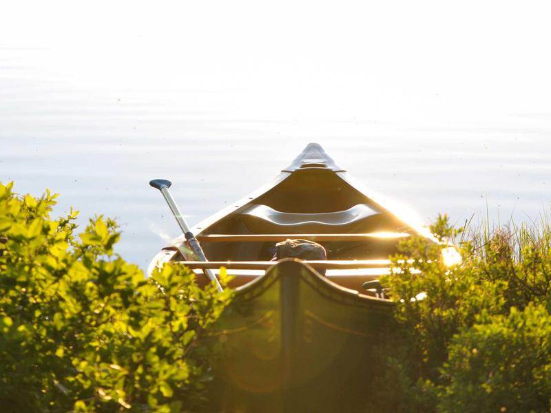 sudoku cell selection screenshot 4