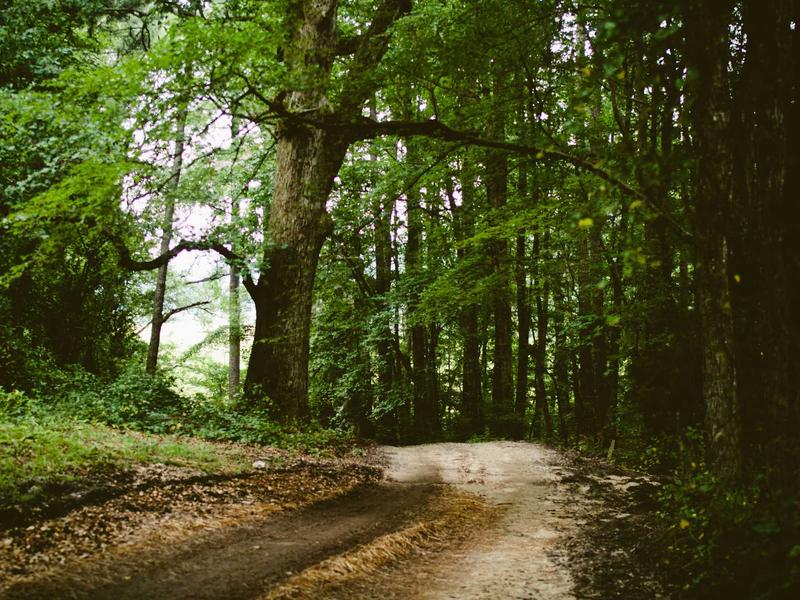 sudoku cell selection screenshot 5